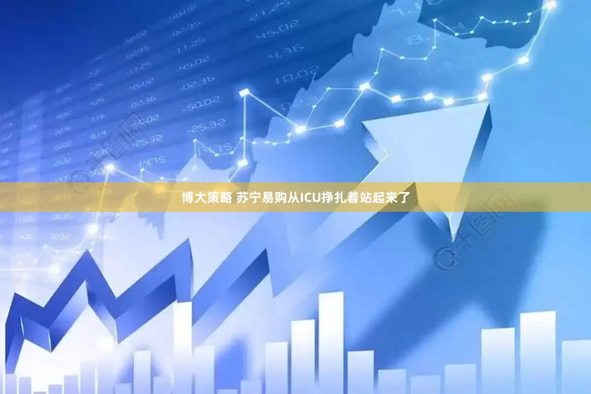 博大策略 苏宁易购从ICU挣扎着站起来了