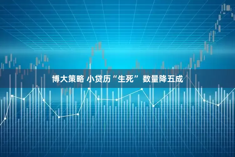 博大策略 小贷历“生死” 数量降五成